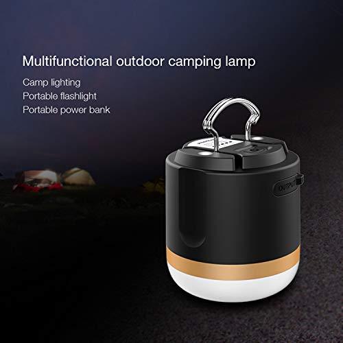 EcoFlow Camping Lamp, Waterproof Versatile Camp Light, Stepless Dimming, 4 Lightness Modes + SOS, Magnetic Base for Emergency, Outdoor, Hiking and Car