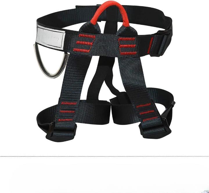 Safety Harness Climbing Belts, Safety Belt for Tree Climbing Outdoor Training Caving Rock Climbing Rappelling Equip - Half Body Guide Belt, Protect Waist Safety Harness, Safety Harness