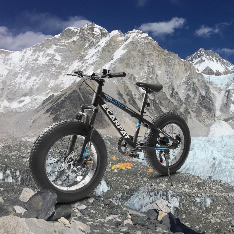 A20316 20 inch Fat Tire Bike Adult Teen Full Shimano 7 Speed Mountain Bike, Dual Disc Brakes, High Carbon Steel Frame, Front Suspension, Mountain Dirt Bike, City Commuter City Bike, Fat Tire Bike